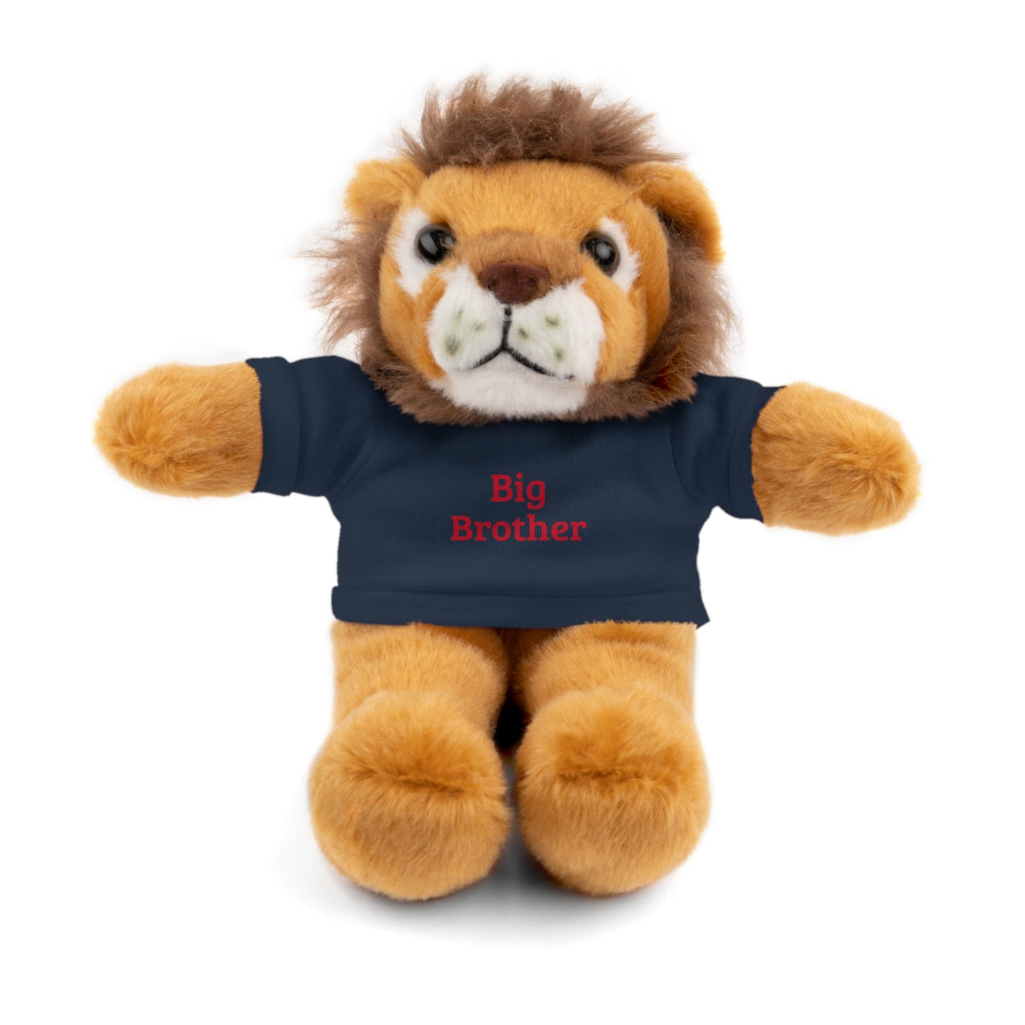 Big Brother Stuffed Animals with Tee