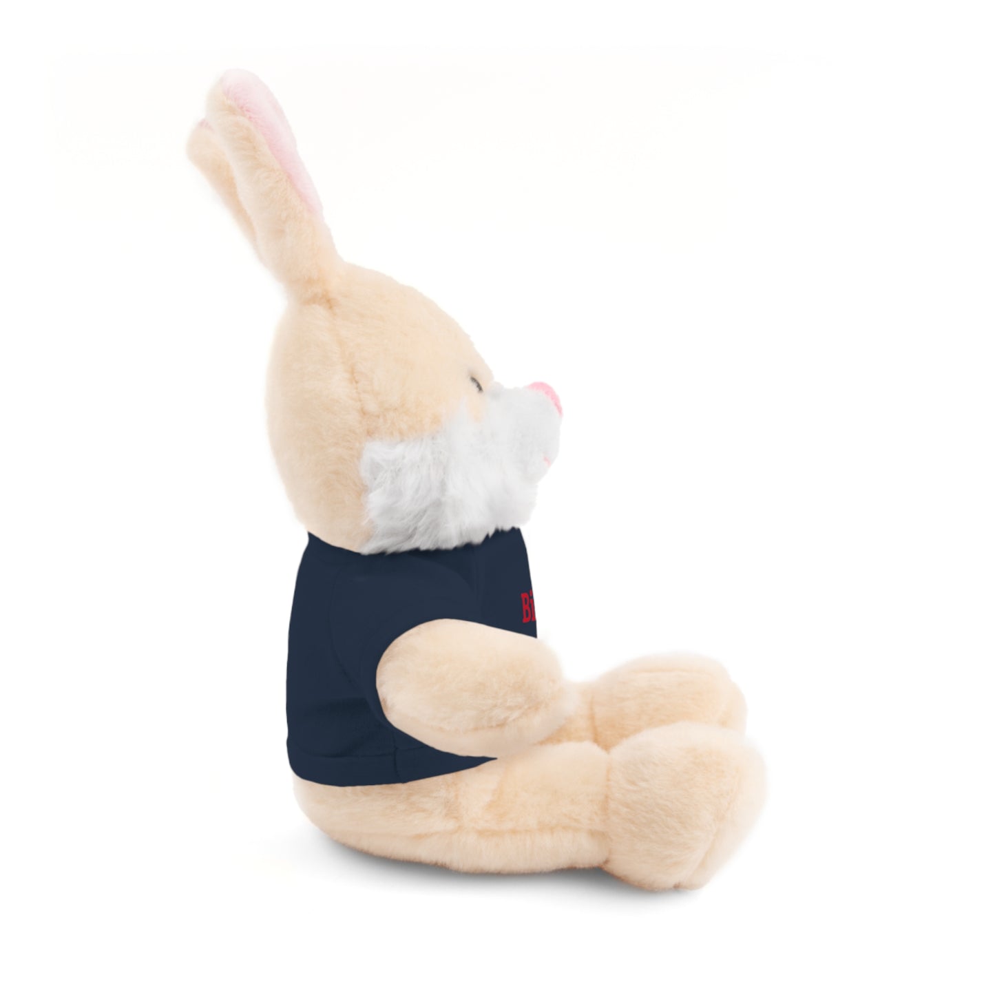 Big Brother Stuffed Animals with Tee