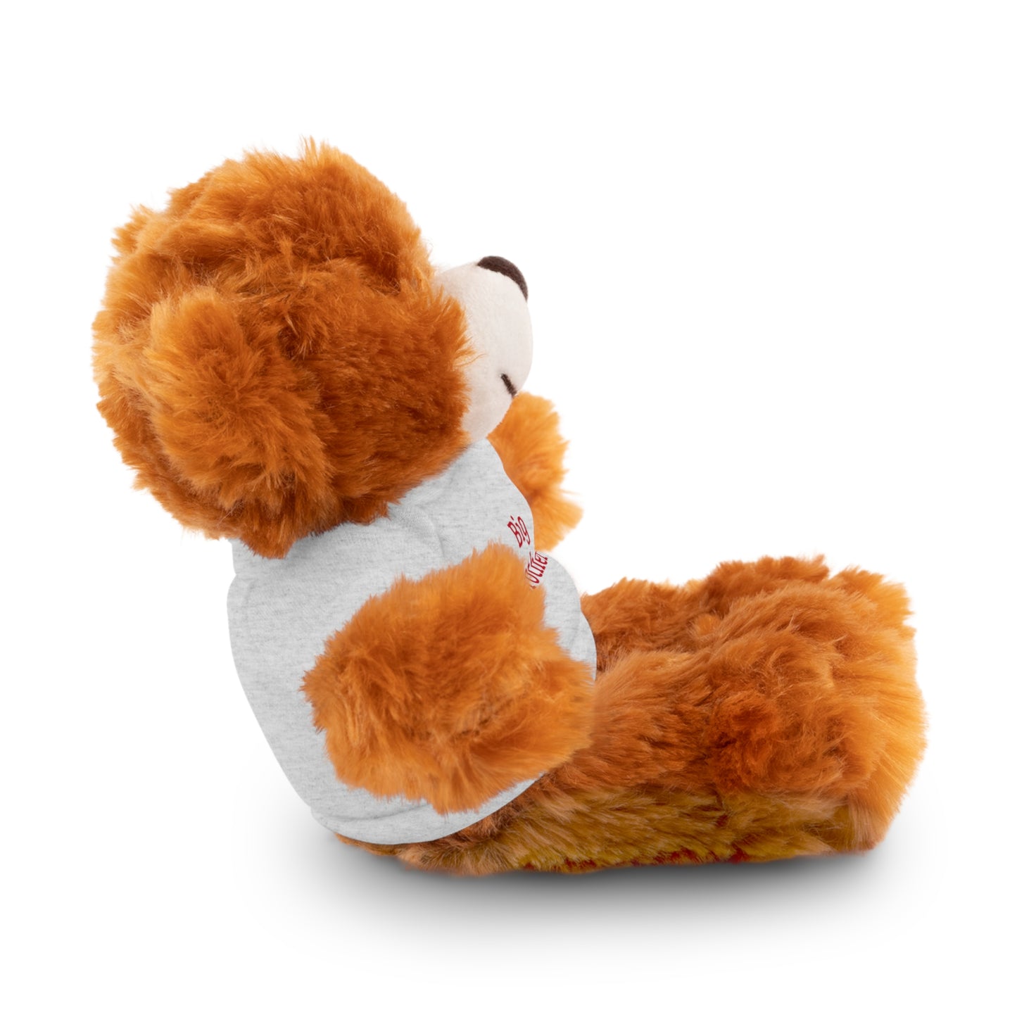 Big Brother Stuffed Animals with Tee