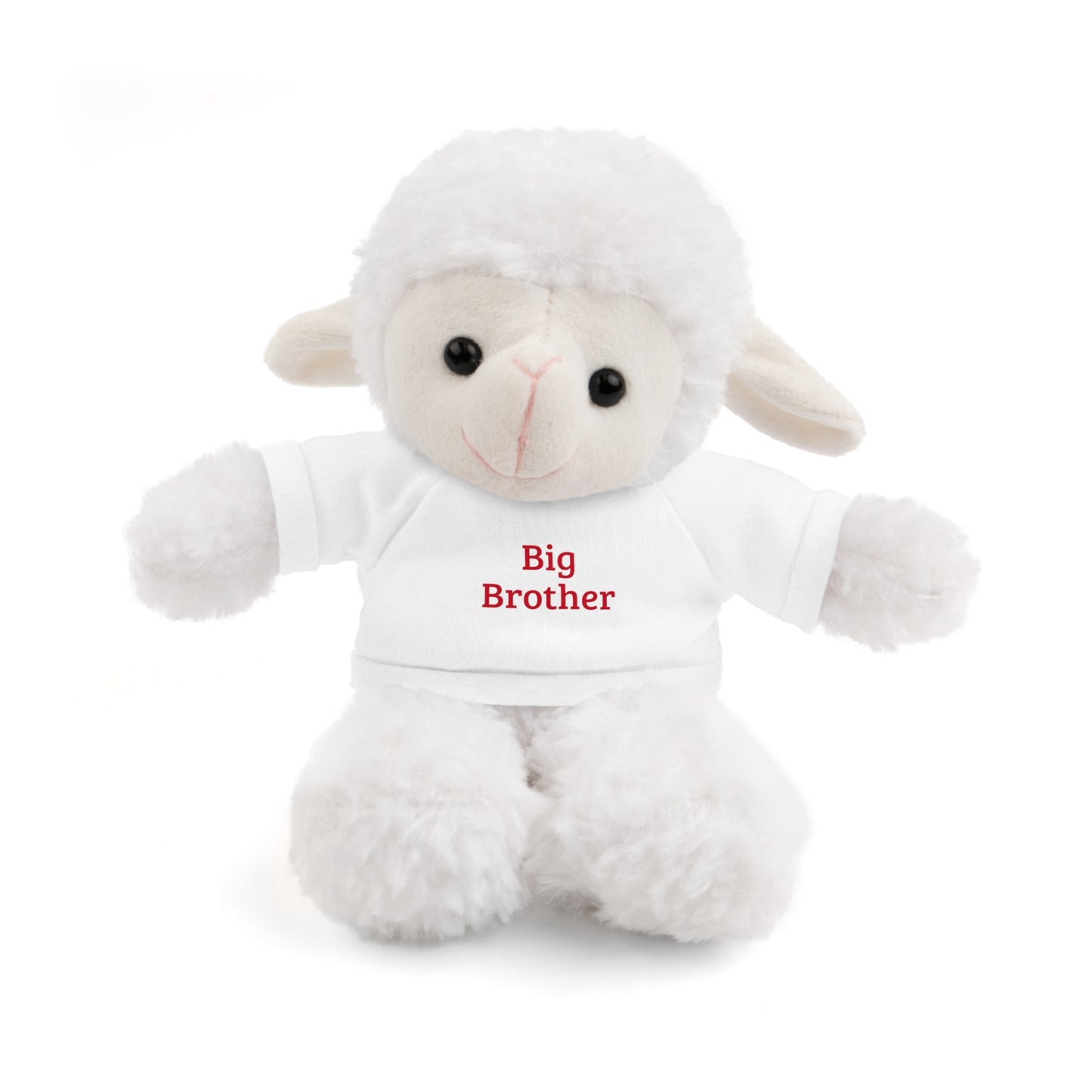 Big Brother Stuffed Animals with Tee