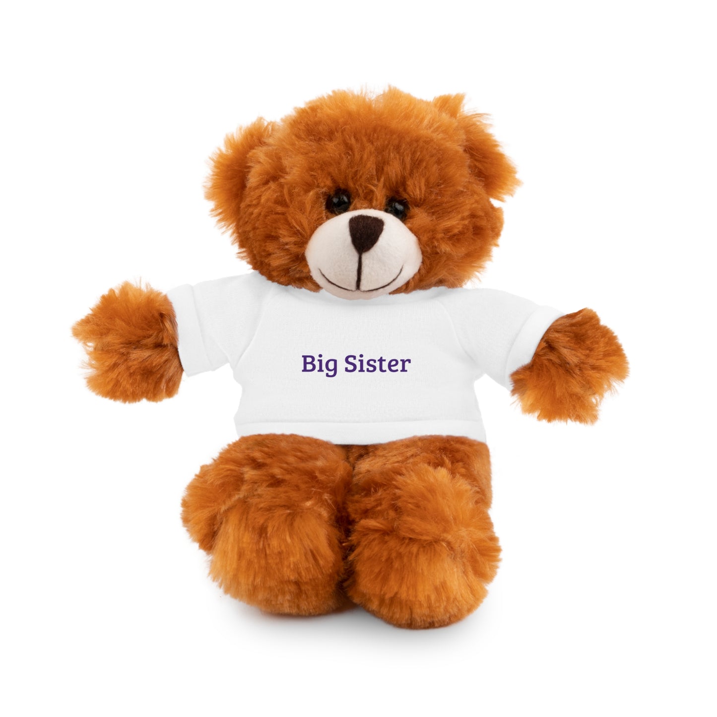 Big Sister Stuffed Animals with Tee