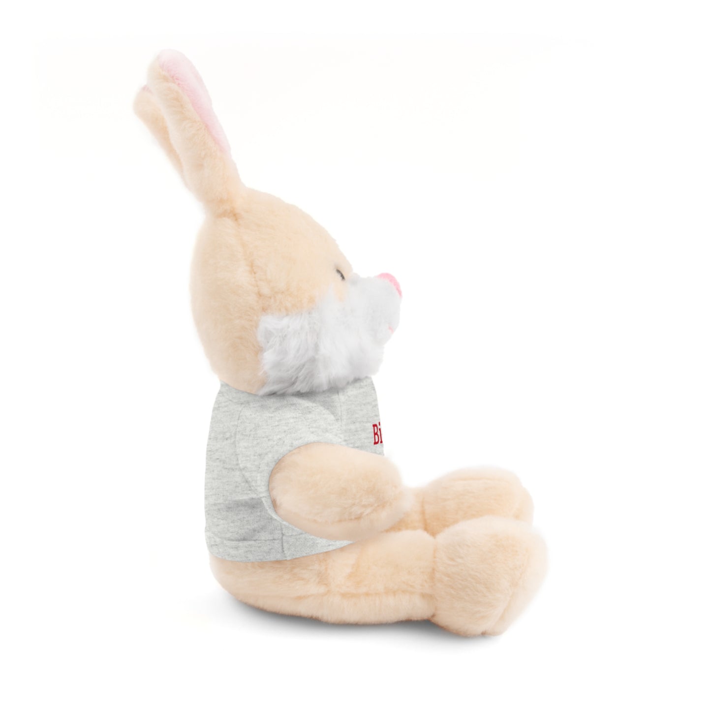 Big Brother Stuffed Animals with Tee