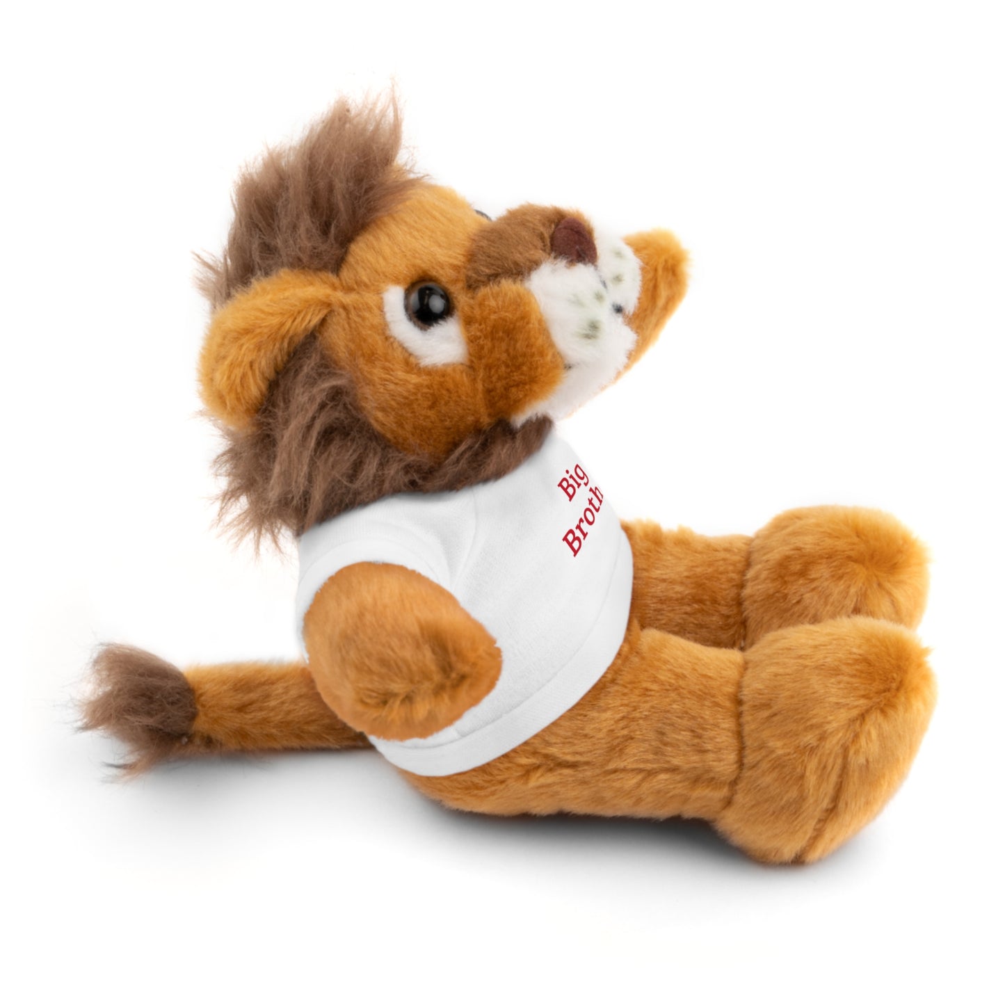 Big Brother Stuffed Animals with Tee