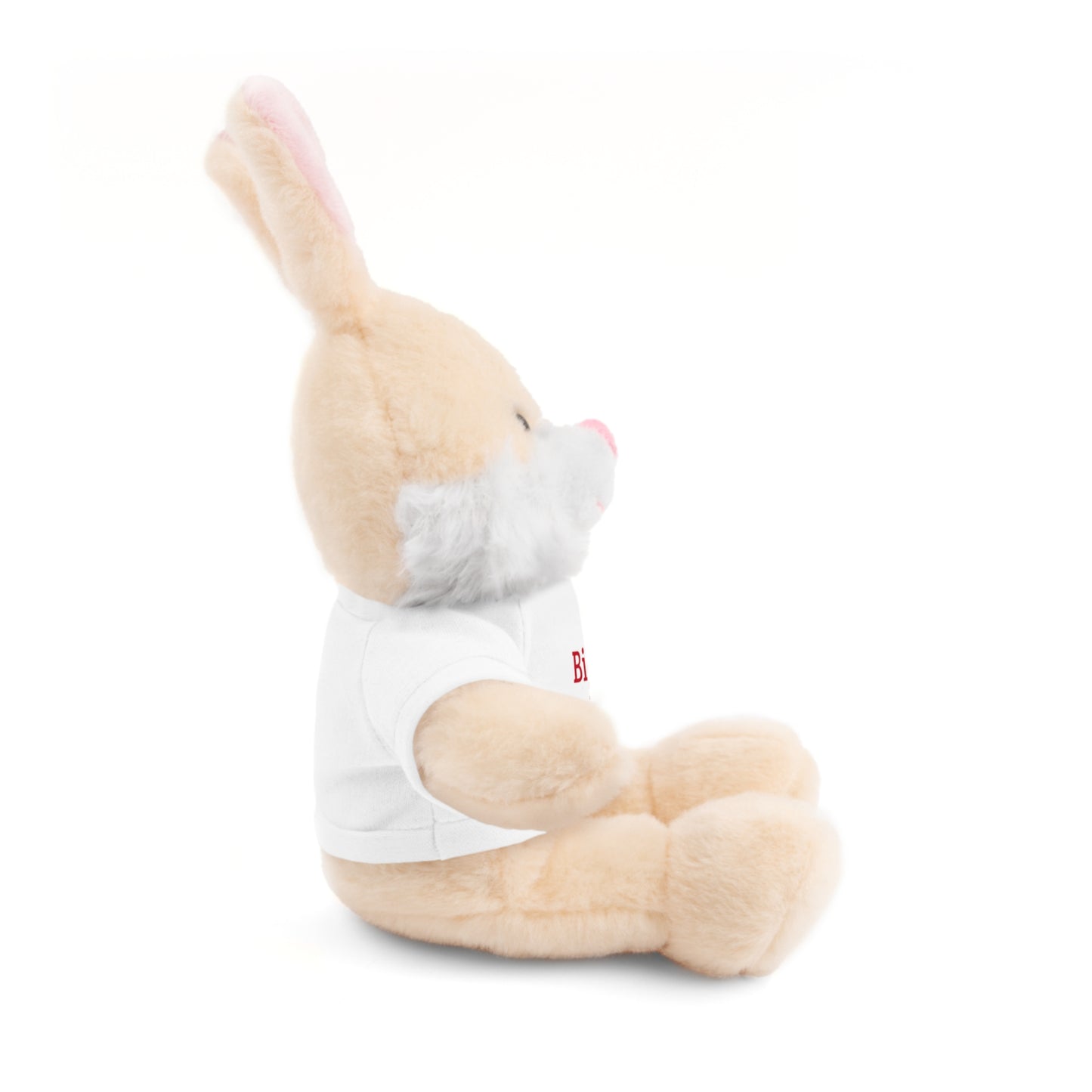 Big Brother Stuffed Animals with Tee