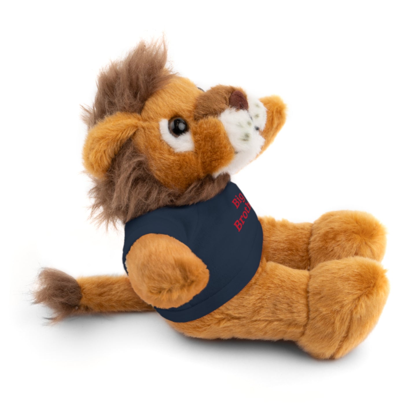 Big Brother Stuffed Animals with Tee