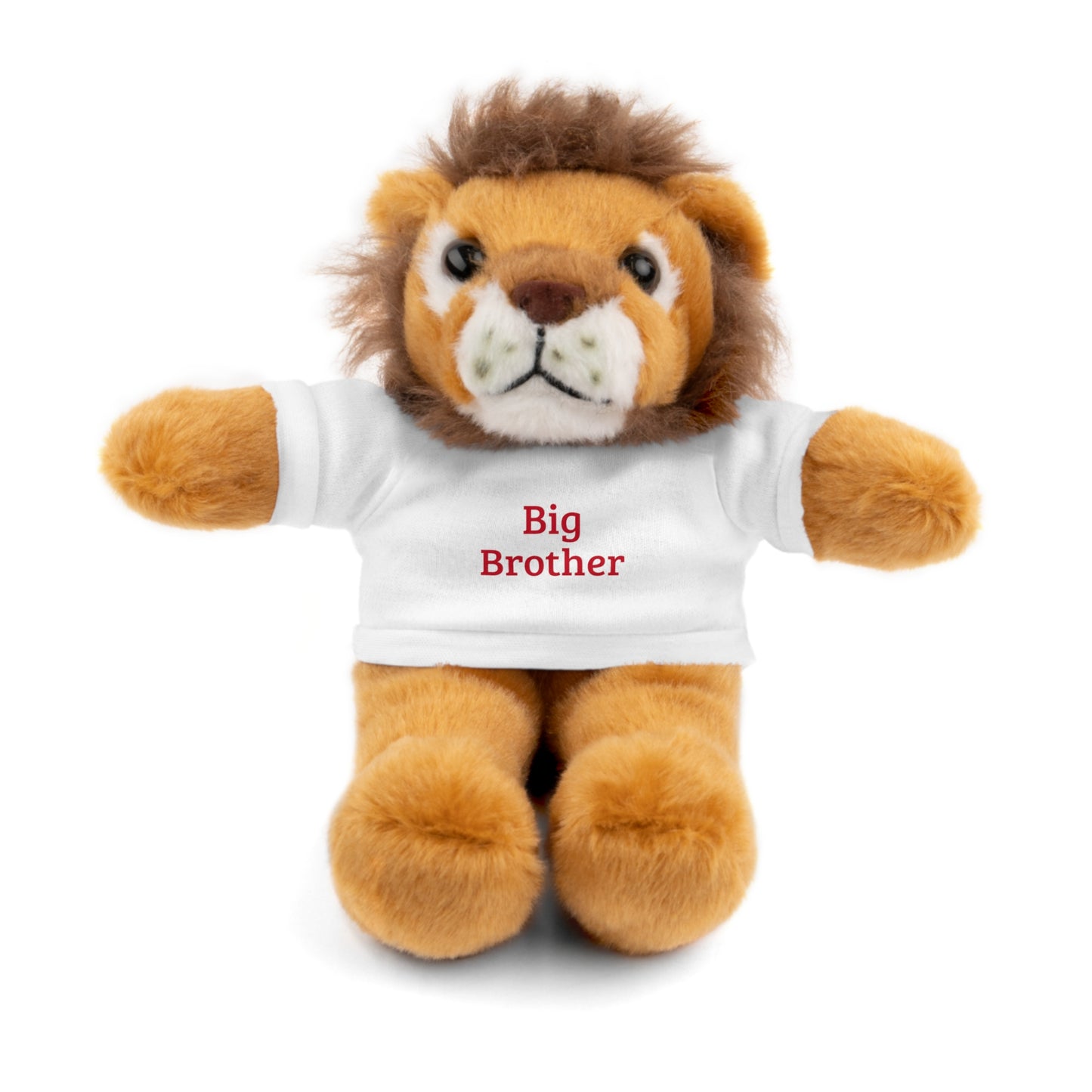 Big Brother Stuffed Animals with Tee