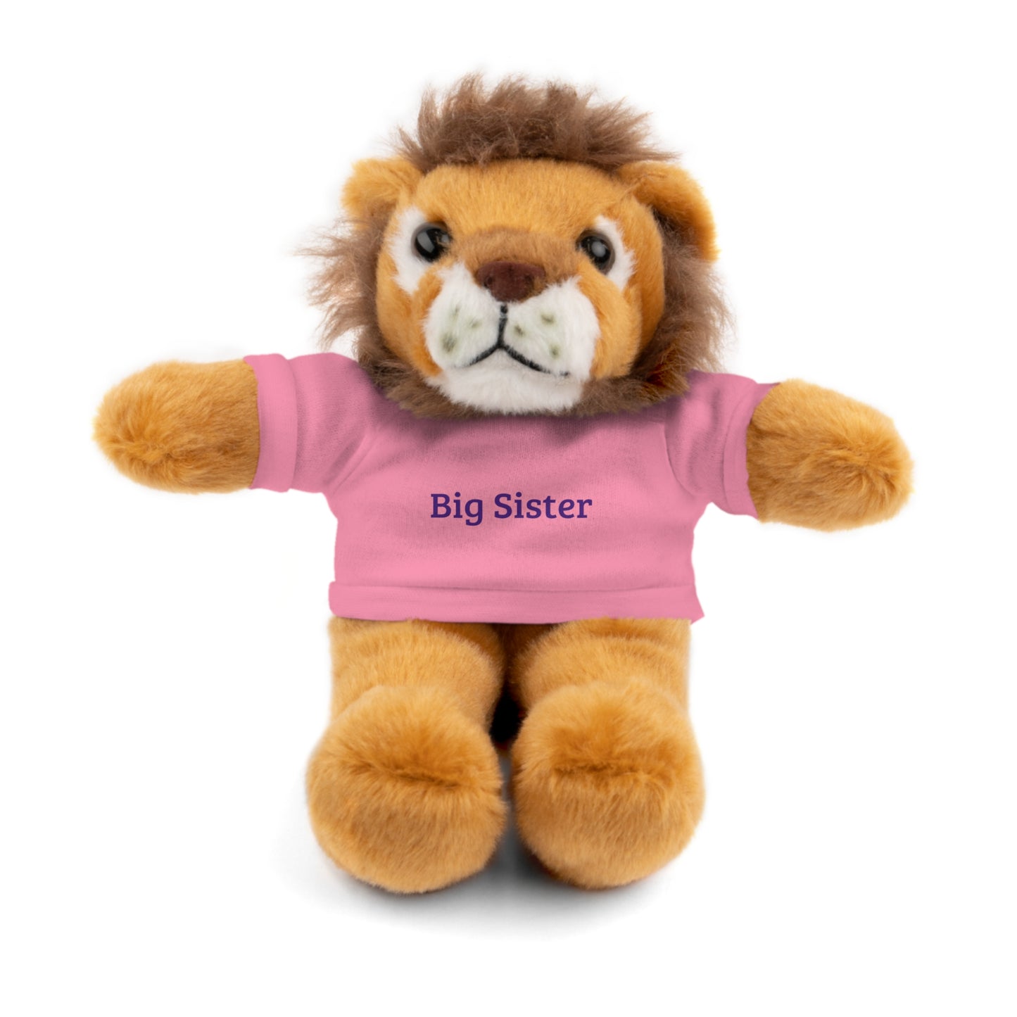 Big Sister Stuffed Animals with Tee