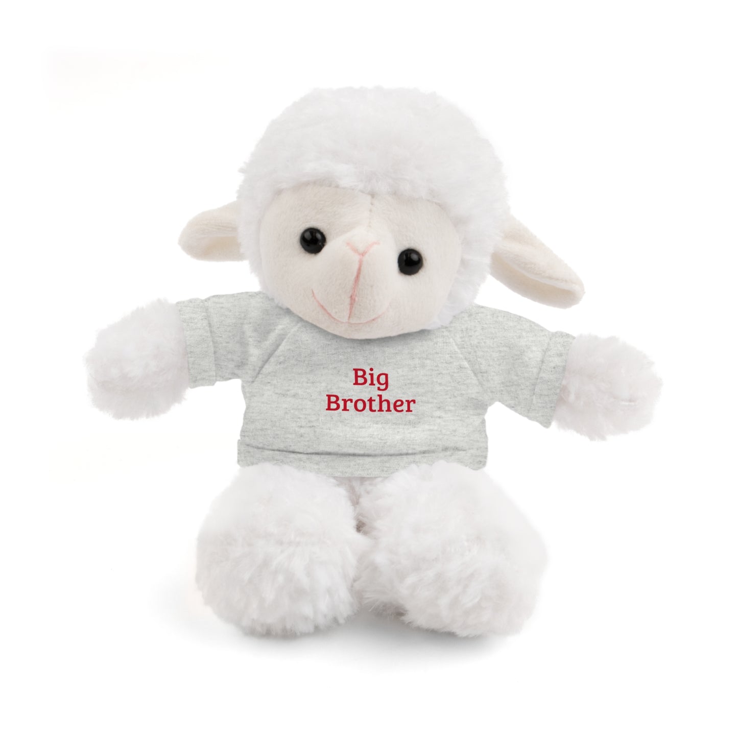 Big Brother Stuffed Animals with Tee