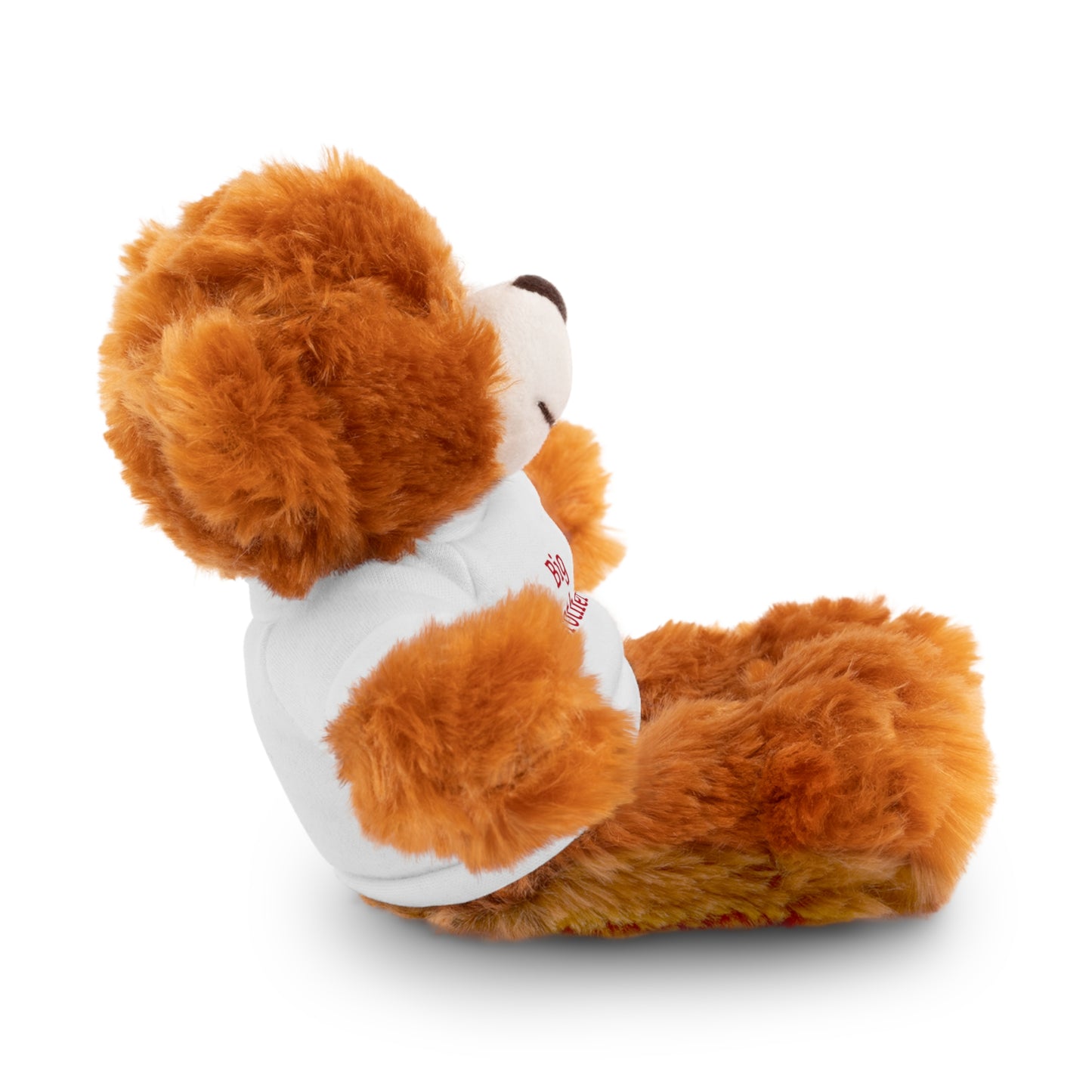 Big Brother Stuffed Animals with Tee