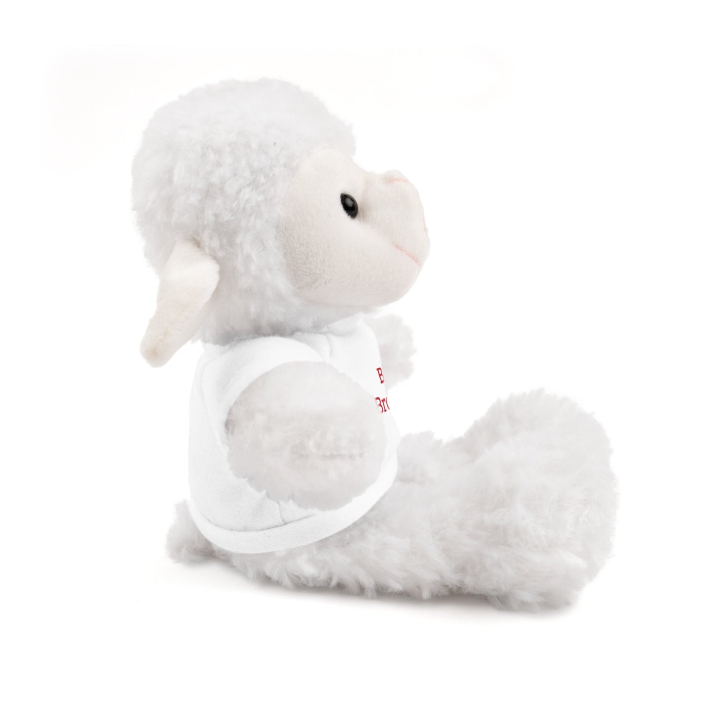 Big Brother Stuffed Animals with Tee