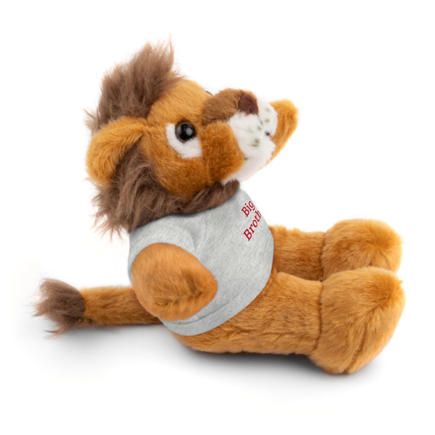 Big Brother Stuffed Animals with Tee