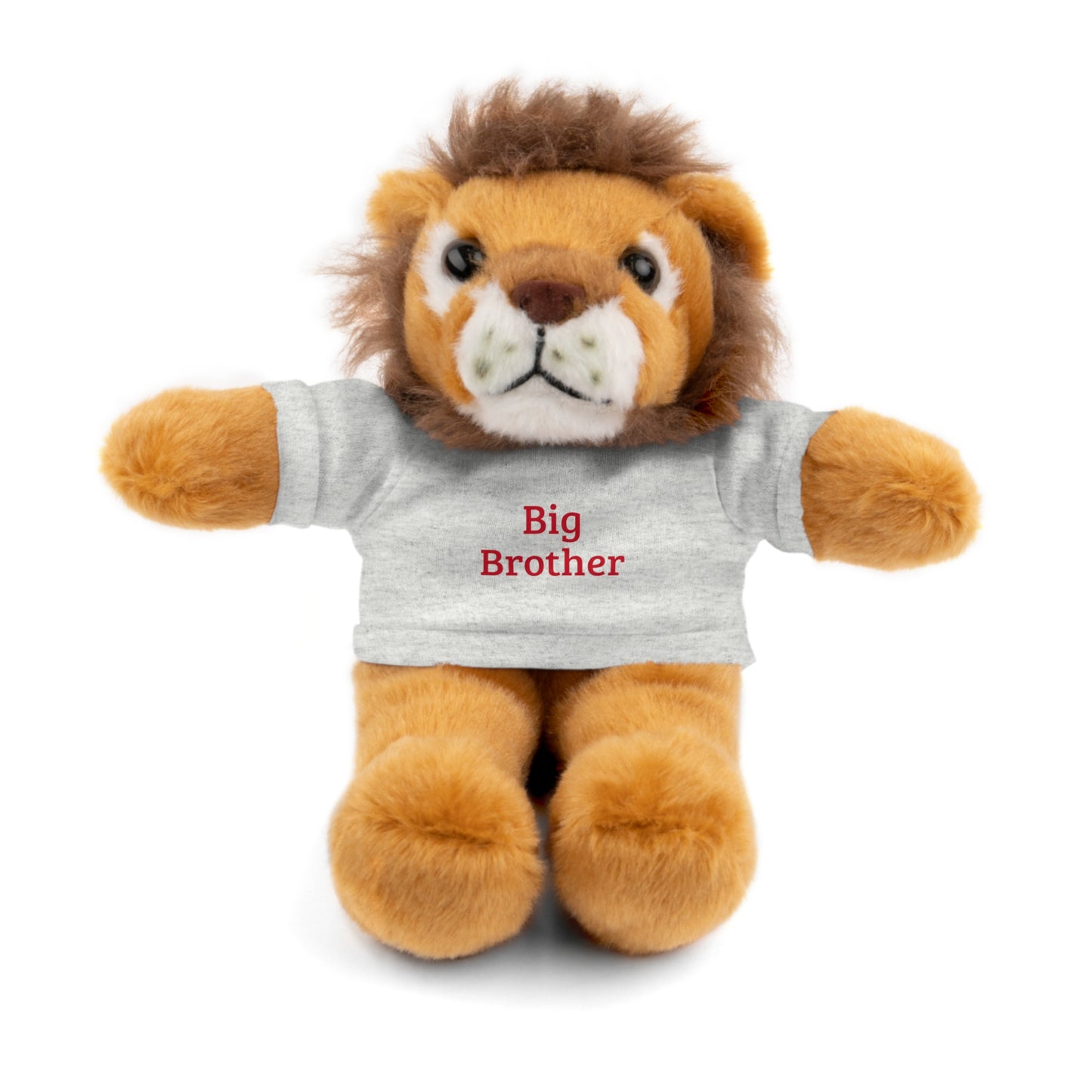 Big Brother Stuffed Animals with Tee