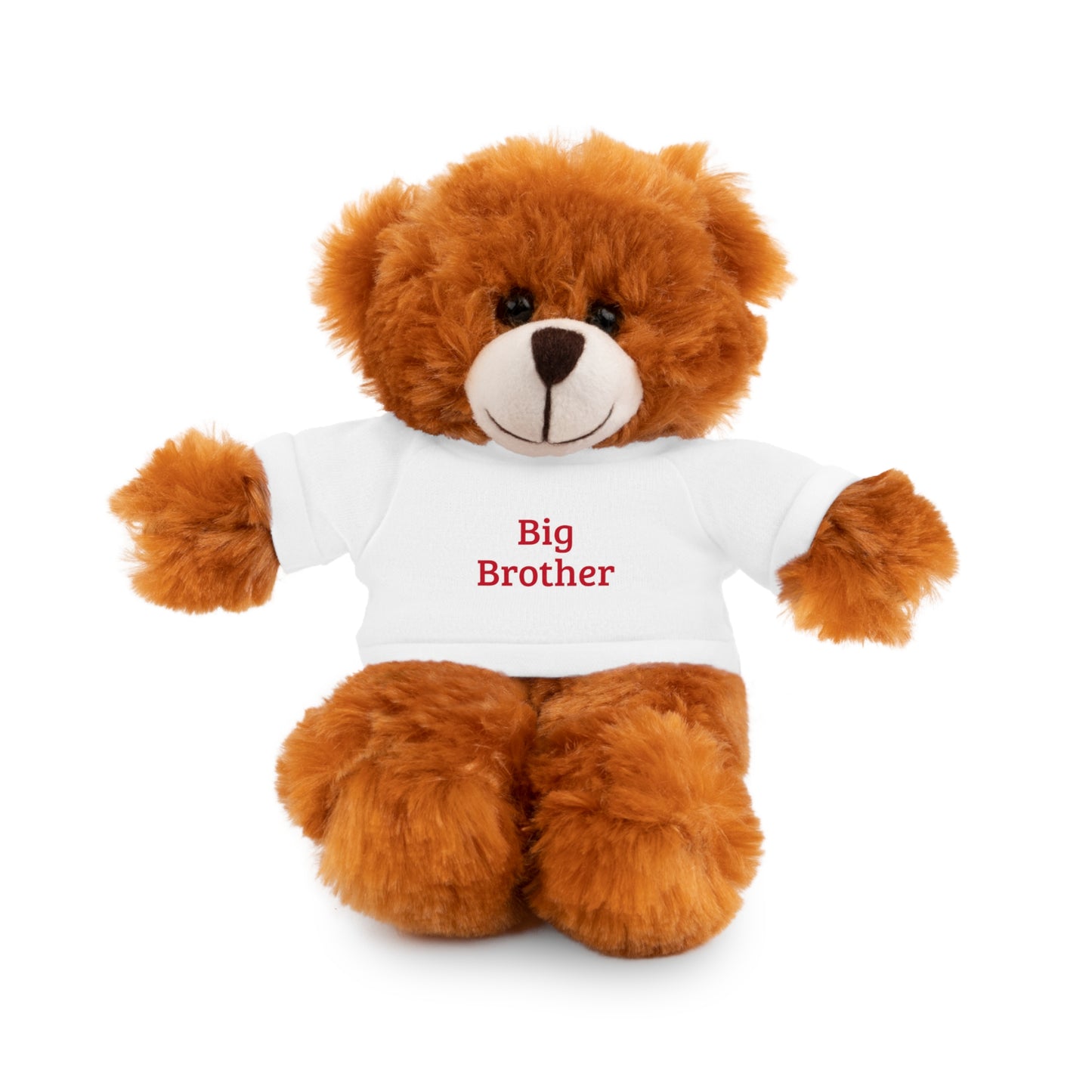 Big Brother Stuffed Animals with Tee