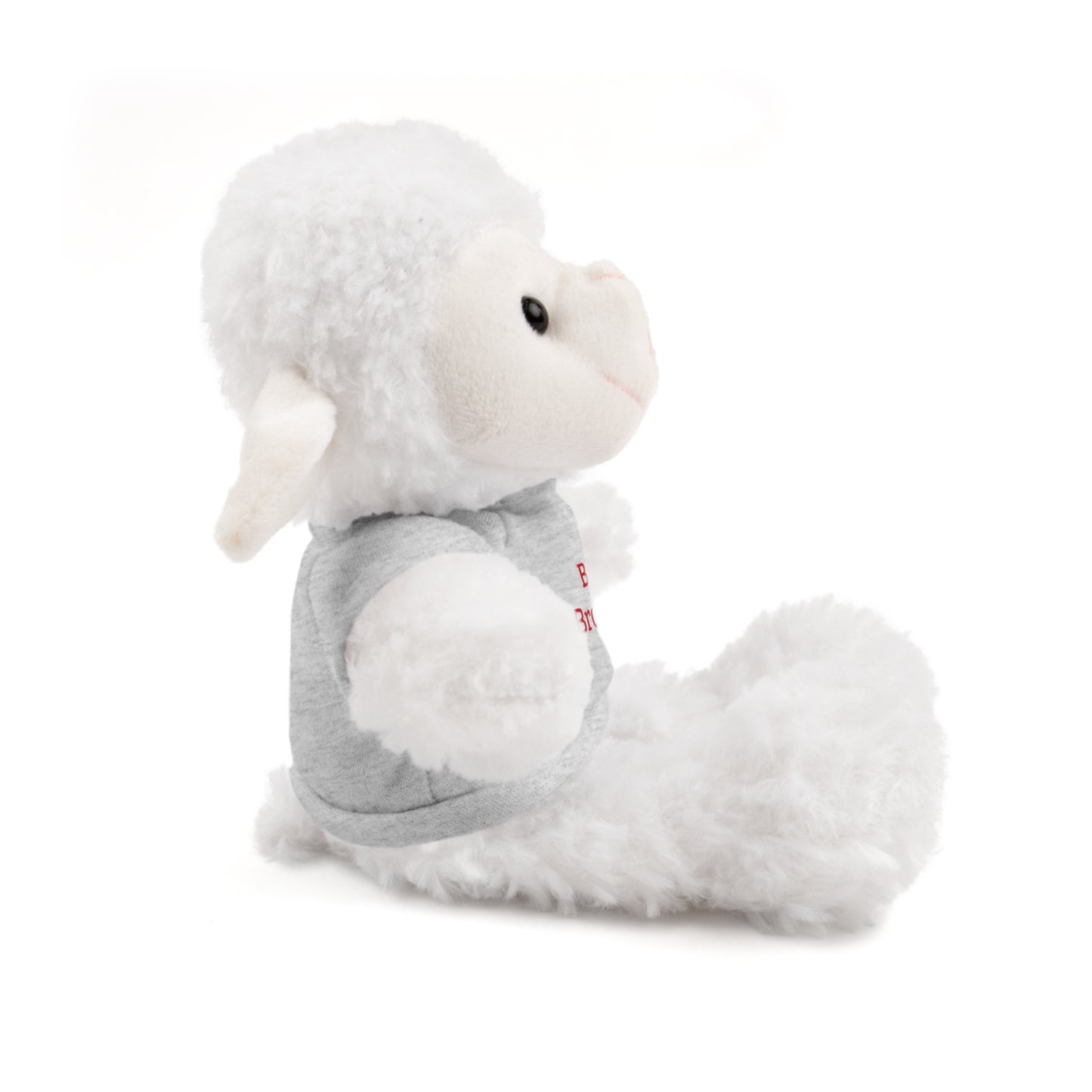 Big Brother Stuffed Animals with Tee