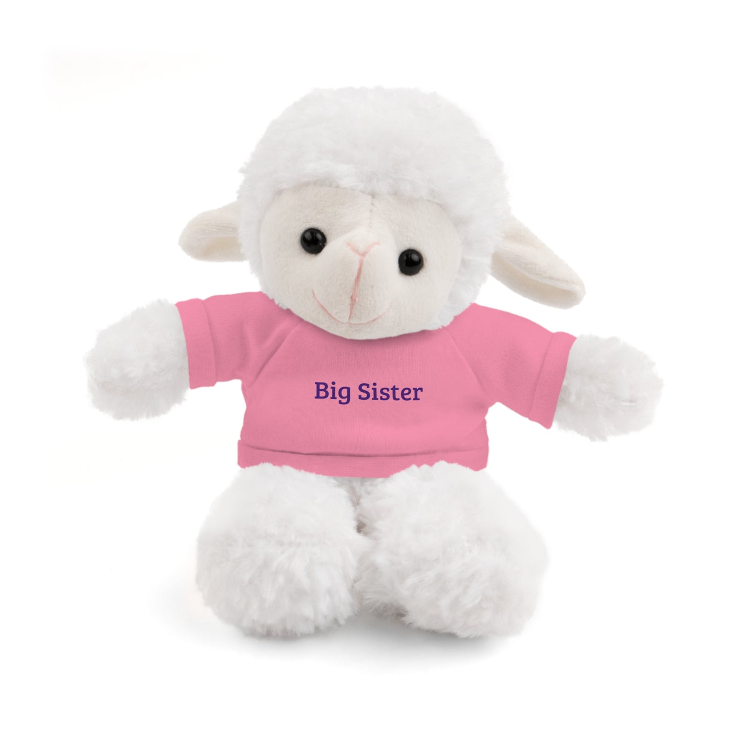 Big Sister Stuffed Animals with Tee