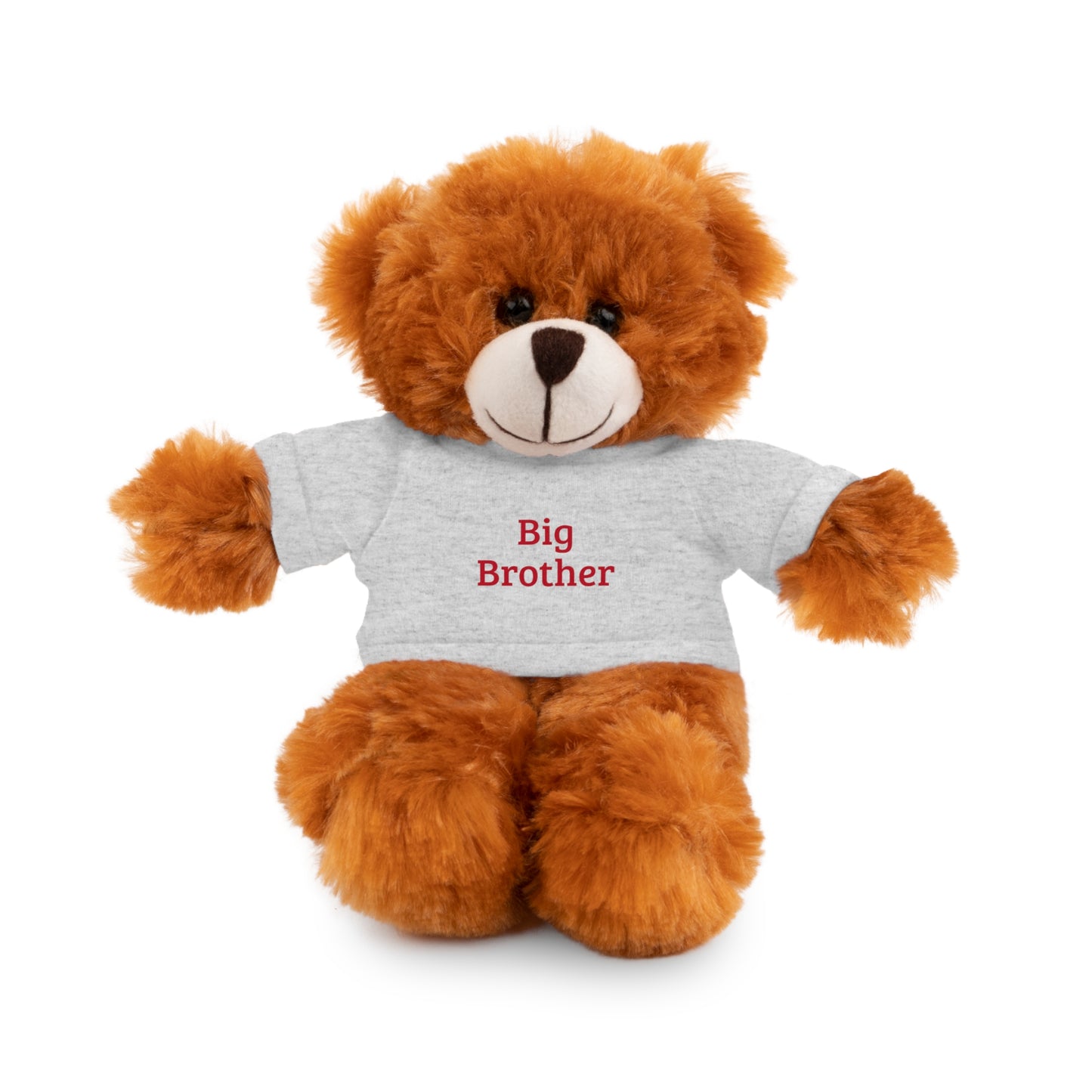 Big Brother Stuffed Animals with Tee